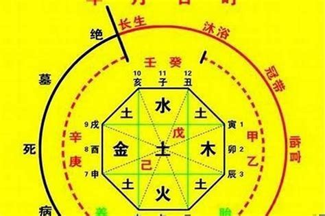 八字屬水|八字用神為水的人怎樣旺運